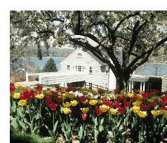 Delbr�ck Laboratory